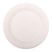 Teller aus Pappe rund �15cm wei�, 100 Stk.