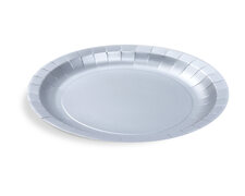 Pappteller Silber �23 cm - FSC Einwegteller f�r Party, Geburtstag, Hochzeit, 10 Stk.