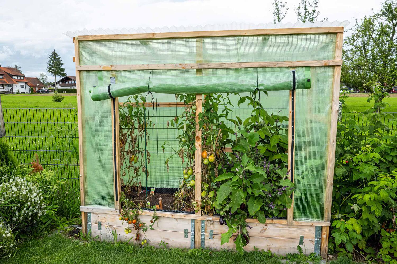 Gitterplane 6,00 x 15,00 m transparent mit grnem Gitter 250 g/m mit Nagelrand verstrkt gefaltet UV-stabil