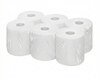 Ecoline Handtuchpapier Innenabrollung 2-lagig, h�lsenlos, Zellstoff, 450 Abrisse, 6 Rollen